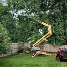 Best Aeration Services  in Jackson, CA